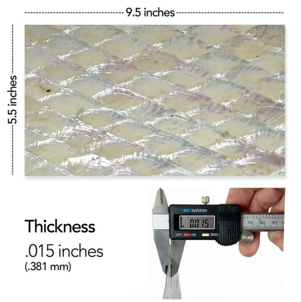 Shell Veneer, 5.5 x 9.5 inches | WMOP, BMOP, Abalone | Includes 3M Adhesive Sheet for Application, Great for Inlay Projects