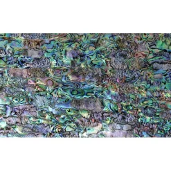 Shell Veneer, 5.5 x 9.5 inches | WMOP, BMOP, Abalone | Includes 3M Adhesive Sheet for Application, Great for Inlay Projects