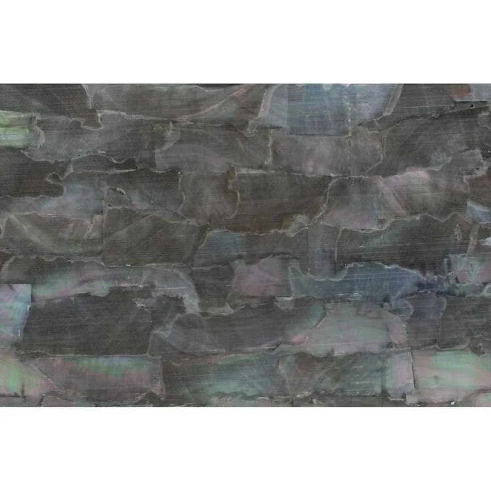 Shell Veneer, 5.5 x 9.5 inches | WMOP, BMOP, Abalone | Includes 3M Adhesive Sheet for Application, Great for Inlay Projects