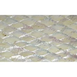 Shell Veneer, 5.5 x 9.5 inches | WMOP, BMOP, Abalone | Includes 3M Adhesive Sheet for Application, Great for Inlay Projects