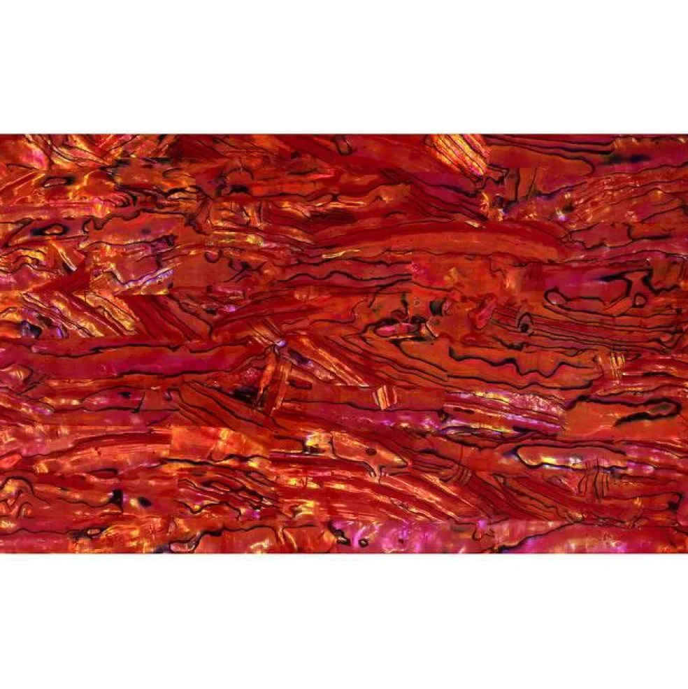 Shell Veneer, 5.5 x 9.5 inches | WMOP, BMOP, Abalone | Includes 3M Adhesive Sheet for Application, Great for Inlay Projects