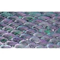 Shell Veneer, 5.5 x 9.5 inches | WMOP, BMOP, Abalone | Includes 3M Adhesive Sheet for Application, Great for Inlay Projects