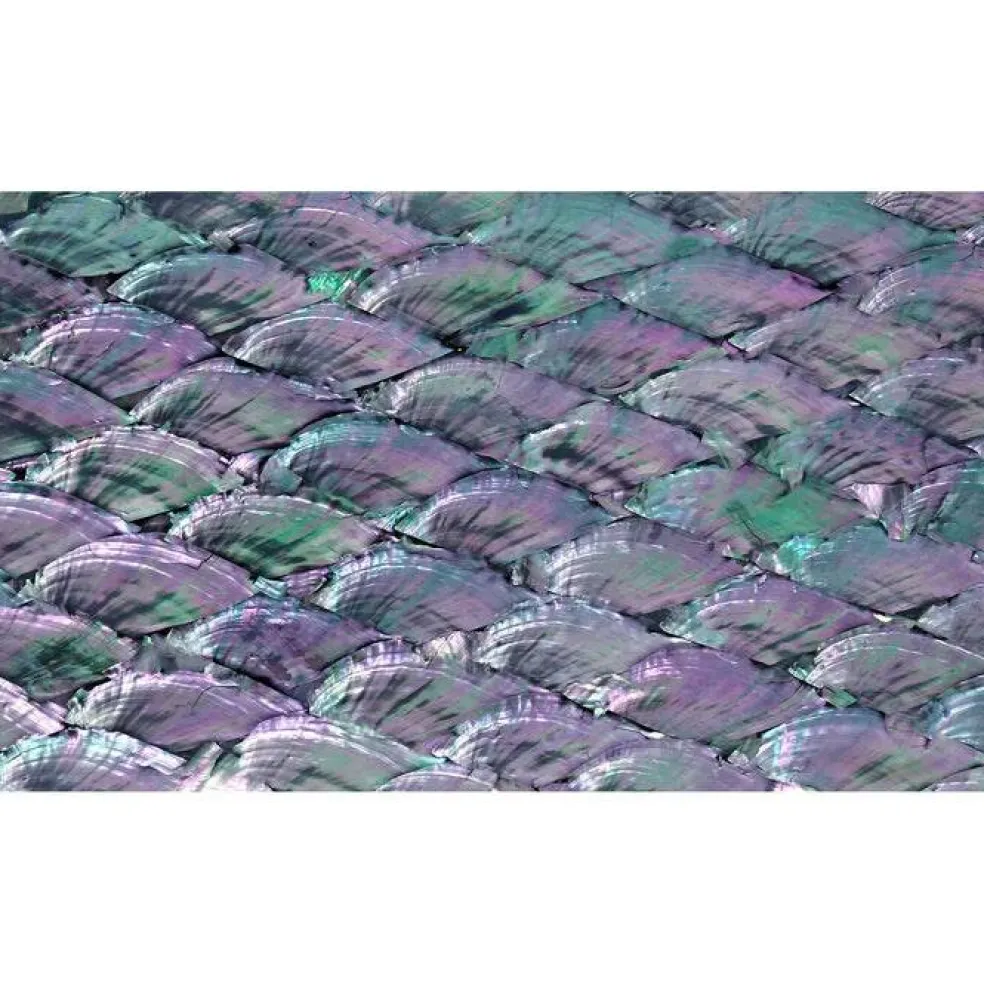 Shell Veneer, 5.5 x 9.5 inches | WMOP, BMOP, Abalone | Includes 3M Adhesive Sheet for Application, Great for Inlay Projects