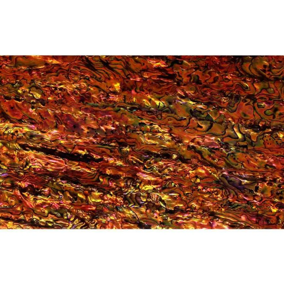 Shell Veneer, 5.5 x 9.5 inches | WMOP, BMOP, Abalone | Includes 3M Adhesive Sheet for Application, Great for Inlay Projects