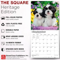 Shih Tzu Puppies | 2027 12 x 24 Inch (Hanging) Monthly Square Wall Calendar | Plastic-Free