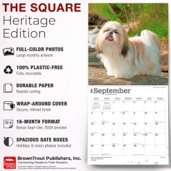 Shih Tzu | 2027 12 x 24 Inch (Hanging) Monthly Square Wall Calendar | Plastic-Free