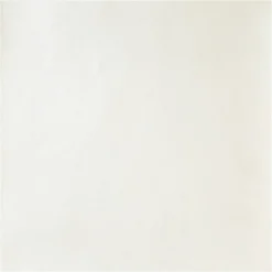 Shimmer Cardstock Paper by Recollections™, 12