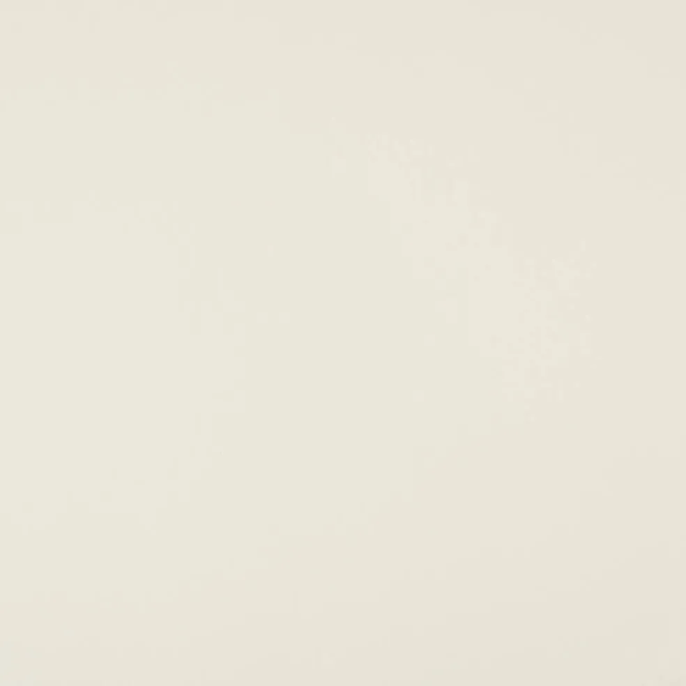 Shimmer Silver & Champagne 8.5" x 11" Cardstock Paper by Recollections®, 100 Sheets