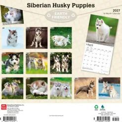Siberian Husky Puppies | 2027 12 x 24 Inch (Hanging) Monthly Square Wall Calendar | Plastic-Free