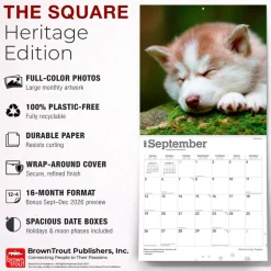 Siberian Husky Puppies | 2027 12 x 24 Inch (Hanging) Monthly Square Wall Calendar | Plastic-Free