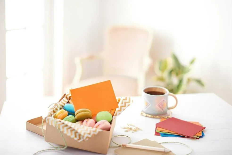 Single Panel Blank Cards with Envelopes