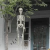 35" Skeleton by Ashland®