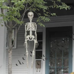 35" Skeleton by Ashland®