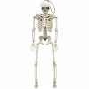14" Skeleton by Ashland®