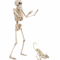 Skeleton Cat Walker by Ashland®