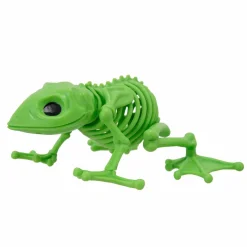 5.5" Skeleton Frog by Ashland®