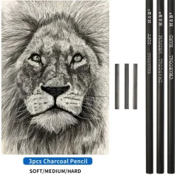 Sketching and Drawing Colored Pencils Set 96-Pieces,Art Supplies Painting Graphite Professional Art Pencils Kit,Gifts for Teens & Adults Drawing Charcoal Tool Set