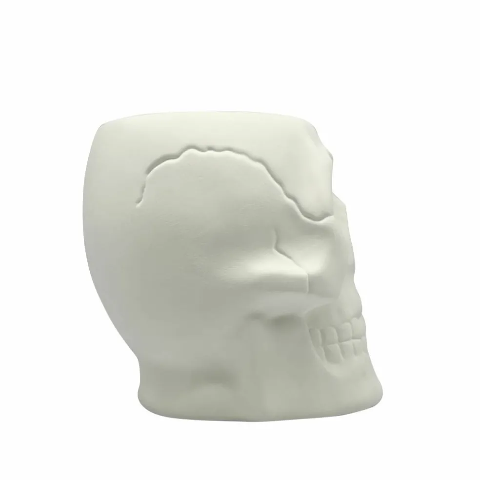 6.25" Skull DIY Ceramic Vase by Make Market®