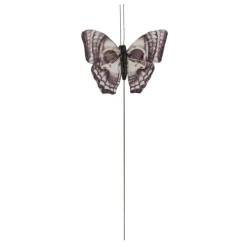 Skull Feather Butterfly, 3ct. by Ashland®