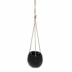 Skull Hanging Container by Ashland®