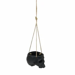 Skull Hanging Container by Ashland®