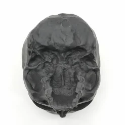 Skull Hanging Container by Ashland®