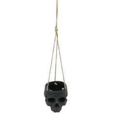Skull Hanging Container by Ashland®