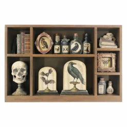 14.5" Skull & Potions Curiosities Box Tabletop Décor by Ashland®