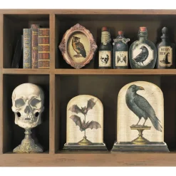 14.5" Skull & Potions Curiosities Box Tabletop Décor by Ashland®