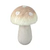 Small Brown Mushroom, 7ct. by Ashland®