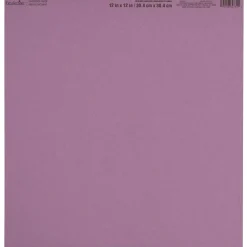 Smooth Solid Cardstock Paper by Recollections™, 12
