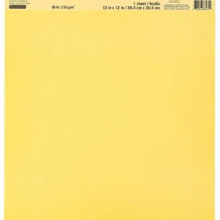 Smooth Solid Cardstock Paper by Recollections™, 12