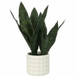 15.5" Snake Plant in White Bubble Pot by Ashland®