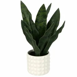 15.5" Snake Plant in White Bubble Pot by Ashland®