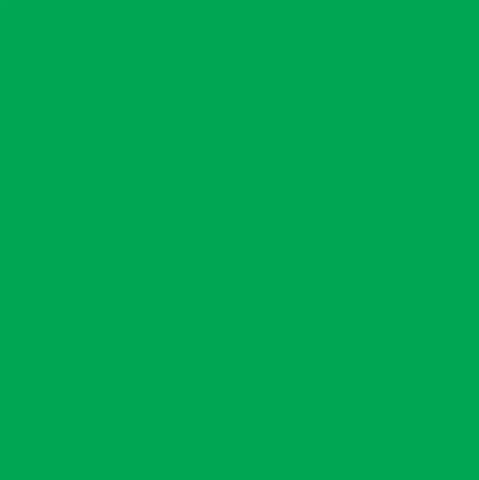 Solid Green Anti-Pill Fleece Fabric (Medium Weight) | By The Yard