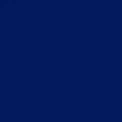 Solid Royal Blue Anti-Pill Fleece Fabric (Medium Weight) | By The Yard