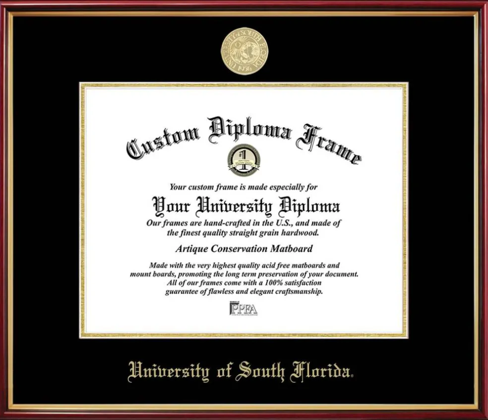 South Florida University Bulls Petite Diploma Frame