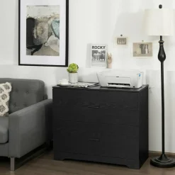 Space Saving Engineered Wood File Cabinet with 2 Drawers Large Storage Capacity for Office or Home Use