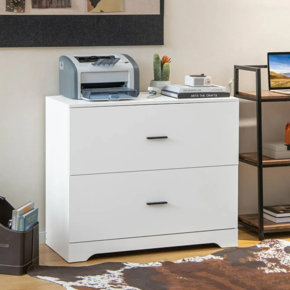 Space Saving Engineered Wood File Cabinet with 2 Drawers Large Storage Capacity for Office or Home Use