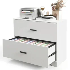 Space Saving Engineered Wood File Cabinet with 2 Drawers Large Storage Capacity for Office or Home Use