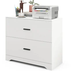 Space Saving Engineered Wood File Cabinet with 2 Drawers Large Storage Capacity for Office or Home Use