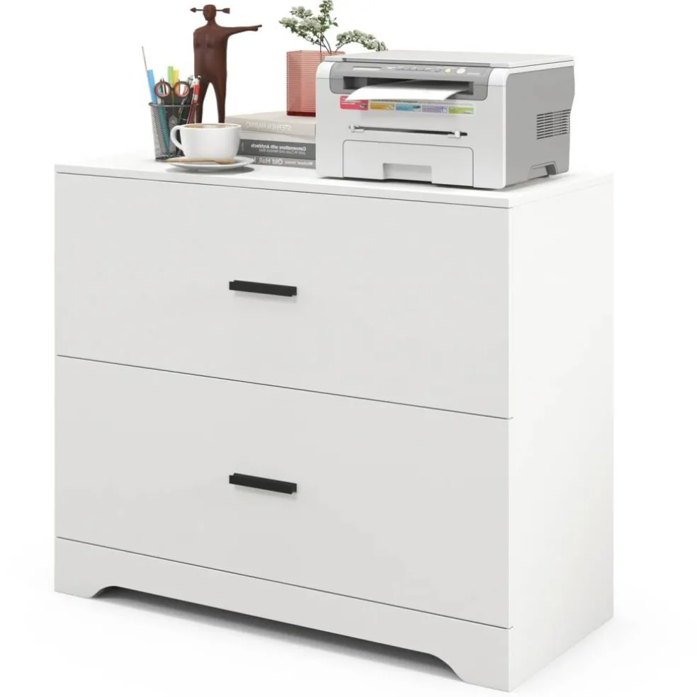 Space Saving Engineered Wood File Cabinet with 2 Drawers Large Storage Capacity for Office or Home Use