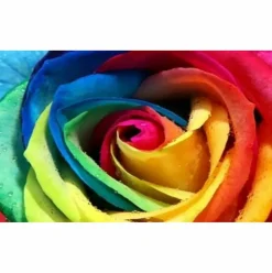 Sparkly Selections Colorful Rose Diamond Painting Kit, Round Diamonds