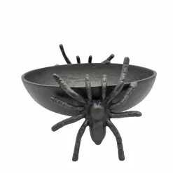 11" Spider Decorative Bowl by Ashland®