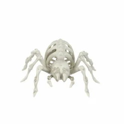 5.5" Spider Skeleton by Ashland®
