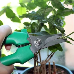 Stainless Steel Floral Snips by Ashland™