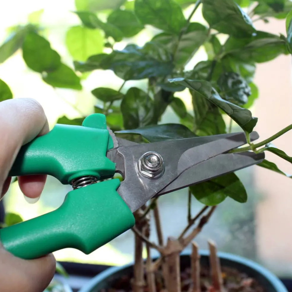 Stainless Steel Floral Snips by Ashland™