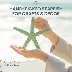 Starfish Decor 10 Blue Green & White Finger Star Fish 6-8 Inch Starfish for Crafts
