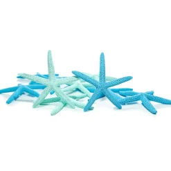 Starfish Decor 10 Pack Green & Blue Assorted Star Fish 4-6 Inch Starfish for Crafts Blue Green Starfish Wall Décor Beach Wedding Starfish Beach Starfish Décor
