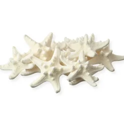 Starfish 12 Knobby White Satfish 1 1/4